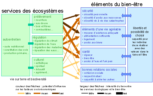 Figure 1 : Les bénéfices tirés des écosystèmes et leurs liens avec le bien-être de l'homme