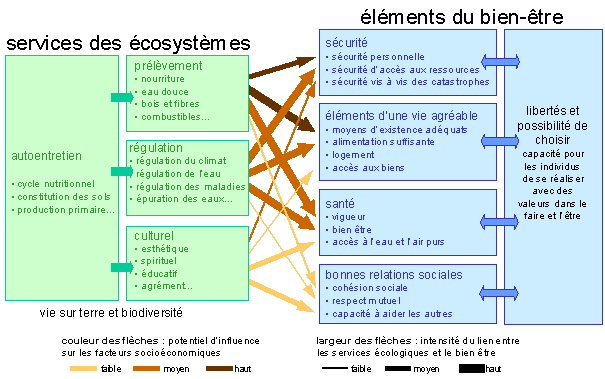 Figure 1 : Les bénéfices tirés des écosystèmes et leurs liens avec le bien-être de l'homme